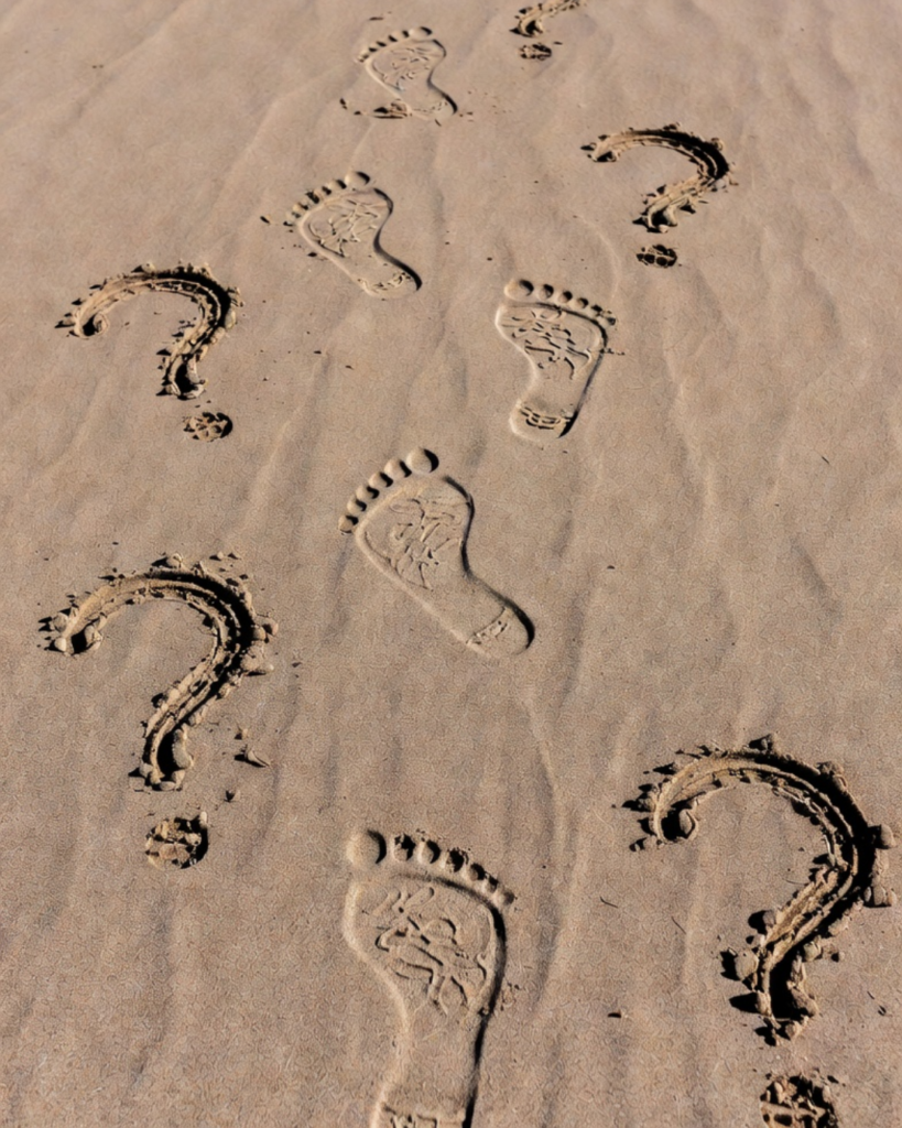 untitled design 2026 02 09t104510.581