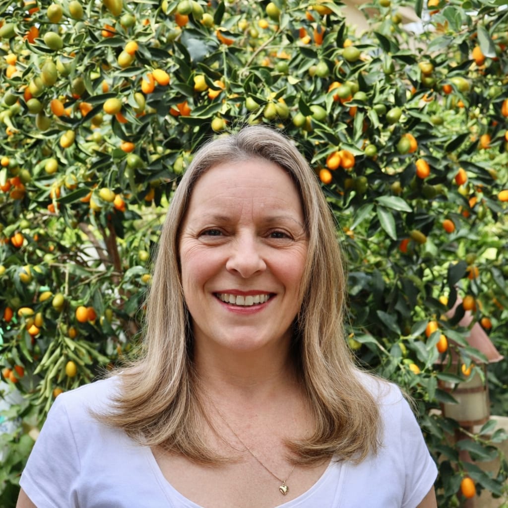 whatsapp image 2026 02 08 at 20.30.37